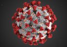 Iran, Turkey interior ministers discuss coronavirus pandemic