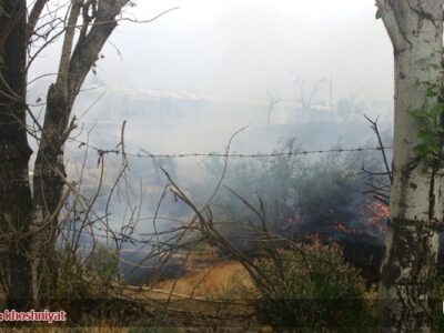آتش سوزی در یکی از باغات تبریز