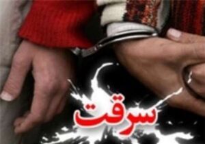 دستگیری سارق با ۲۱ فقره سرقت در تبریز