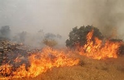 آتش سوزی در هفتاد هکتار از زمینهای منابع طبیعی مرند