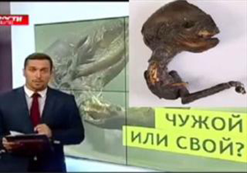 کشف موجودی عجیب در روسیه