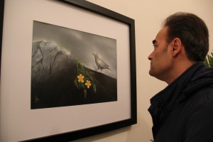 IMG_0774