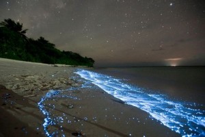 glowing-waves