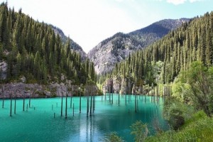 underwater-forest-of-Lake-Kaindy