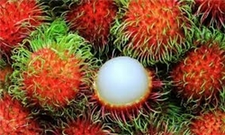 جولان میوه‌های خارجی در بازار تبریز