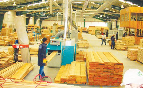 بررسی وضعیت صنعت چوب در استان آذربایجان شرقی