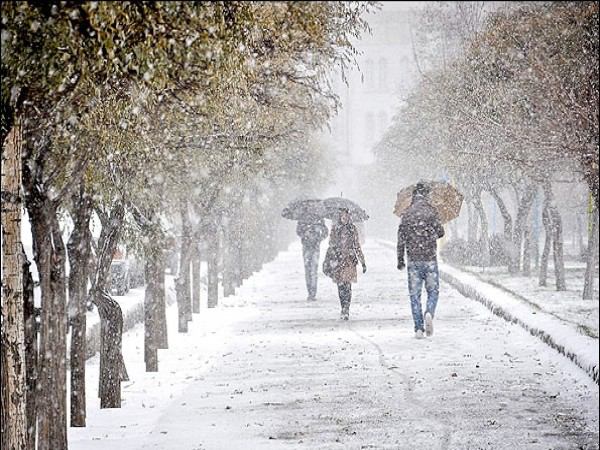 پیش بینی سرمای شدید از آخر هفته در استانهای شمالی