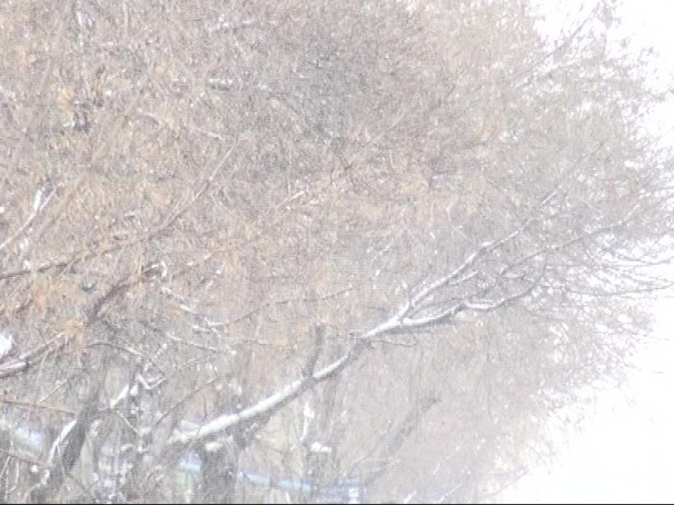 بارش نخستین برف پاییزی در آذربایجان شرقی