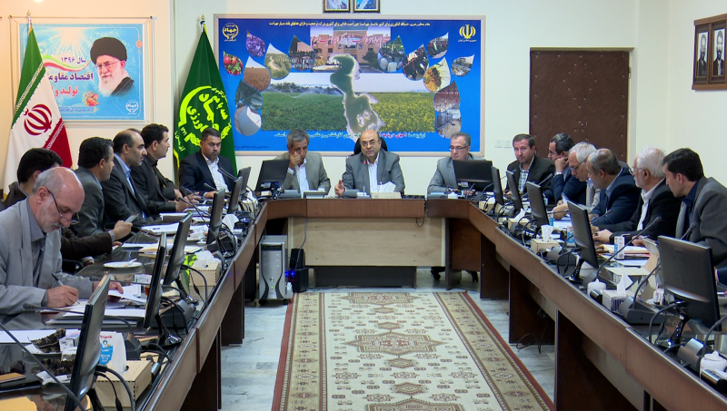 قیمت گوشت مرغ تهدیدی برای صنعت مرغ آذربایجان شرقی