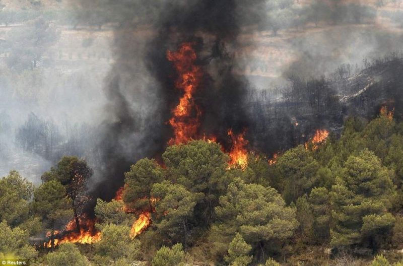 مهار آتش سوزی در جنگل‌های قره داغ