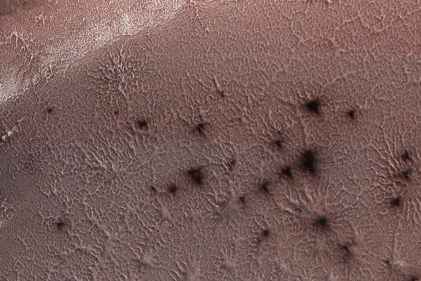 تصویری از عنکبوت‎های مریخ
