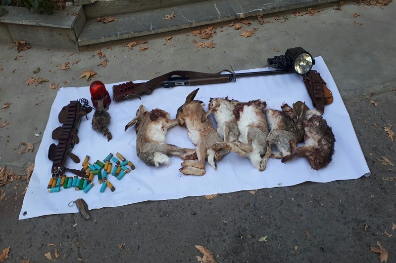 چهار شکارچی بدون جواز در مراغه دستگیر شدند
