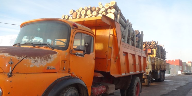 کشف ۴۰ تن چوب جنگلی قاچاق در میانه