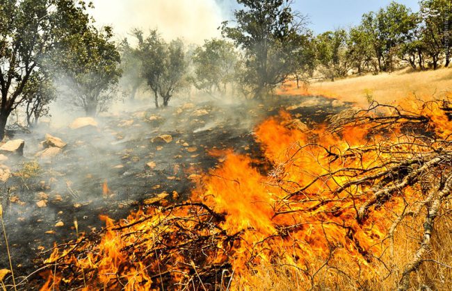 آتش سوزی ۳۰ هکتار از مراتع جنگلی هوراند