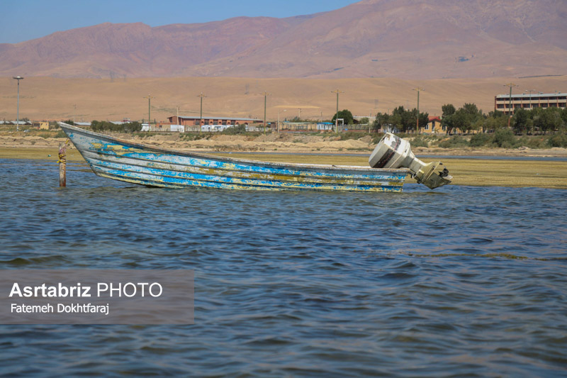 مشارکت ۸۰ هزار کشاورز در احیای دریاچه ارومیه