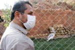 باغ پرندگان و حیات وحش عون‌بن‌علی آماده افتتاح است