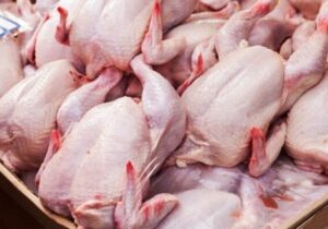 برخورد جدی با برهم‌زنندگان بازار مرغ در آذربایجان‌شرقی