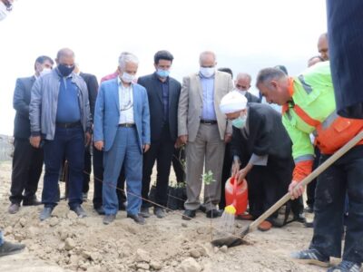 ۳۶۰۰ نهال پسته در خسروشاه کاشته شد