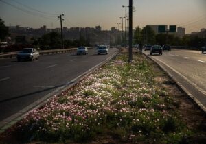 تسریع آماده‌سازی طرح مطالعه بدنه سازی ورودی شرق تبریز