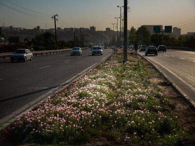 تسریع آماده‌سازی طرح مطالعه بدنه سازی ورودی شرق تبریز