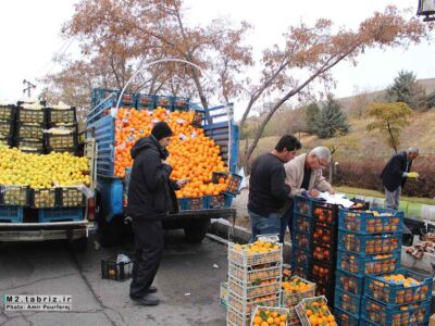 همکاری دستگاه‌های اجرایی برای حل معضل سد معبر خودرویی