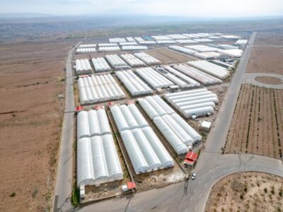 اختصاص۱۵۵۰ میلیاردتومان تسهیلات بانکی از اعتبارات ملی برای ارس