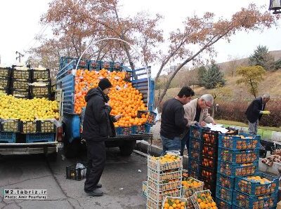 جمع‌آوری ۱۱۴ دستگاه وانت‌بار میوه‌فروش در سطح تبریز