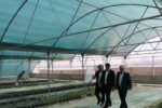 بهره برداری از گل خانه شهرداری خسروشاه تا پایان سال جاری