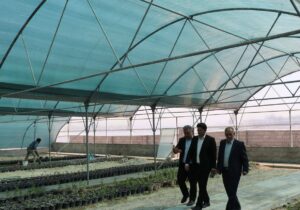 بهره برداری از گل خانه شهرداری خسروشاه تا پایان سال جاری