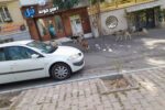 جولان سگ‌های ولگرد در ولیعصر پارک پروین اعتصامی!