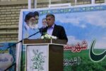 تولید ۲۵ درصد عدس کشور در آذربایجان‌ شرقی