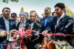 یک جشنواره، صد ناگفته؛ هم آوایی برای احیای بادامزارهای تاریخی خسروشاه