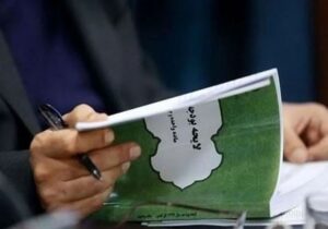 سازمانهای بیخاصیت پول میگیرند تا برای مردم مشکل بیافرینند