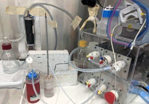 ساخت داروی درمان سرطان از نایاب ترین عنصر روی زمین