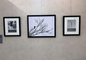 مجید صباغ بهروز با ۱۸ قطعه عکس دنیای درون خود را بازنمایی کرد