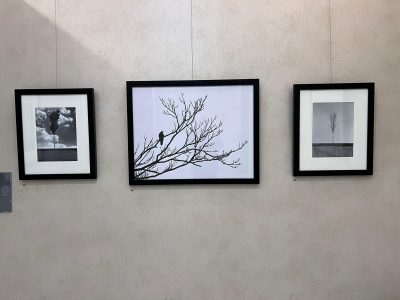 مجید صباغ بهروز با ۱۸ قطعه عکس دنیای درون خود را بازنمایی کرد