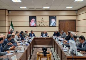 تمرکز ما بر نظارت مستمر بر بازار و حمایت از مردم است