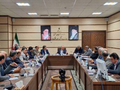 تمرکز ما بر نظارت مستمر بر بازار و حمایت از مردم است