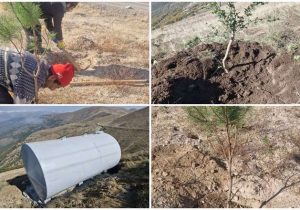 احیای جنگلهای قره‌داغ محور راهبردی محیط‌زیست سونگون است