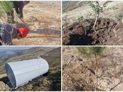 احیای جنگلهای قره‌داغ محور راهبردی محیط‌زیست سونگون است