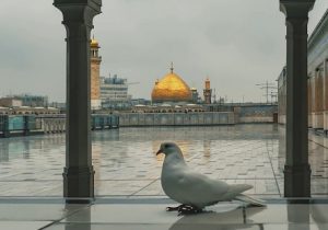 موزیک ویدئوی «یا مولا دلم تنگ اومده» با صدای «محسن چاوشی»