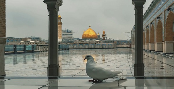 موزیک ویدئوی «یا مولا دلم تنگ اومده» با صدای «محسن چاوشی»