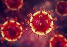 Говорить о преодолении коронавируса еще рано