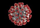 Türkiye’de koronavirüsten 59 kişi hayatını kaybetti