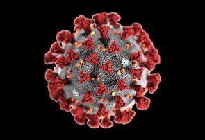 Koronavirüsü İran’da 48  can daha aldı